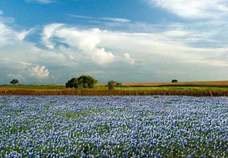 Courtyard Marriott Houston Pearland Ξενοδοχείο Εξωτερικό φωτογραφία